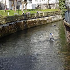 Stadtputzete 2017