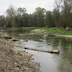 Renaturierung Brenz