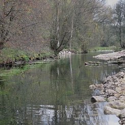 Renaturierung Brenz